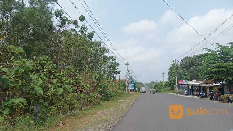 100Jt-an Kawasan Industri Sentolo