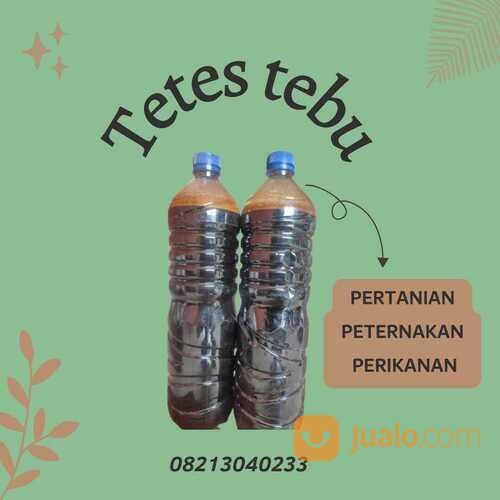 tetes tebu ikan-082130040233