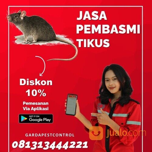 Jasa Basmi Tikus Malang Termurah | 0813-1344-4221- Garda Pest