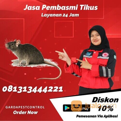 Jasa Basmi Tikus Malang Termurah | 0813-1344-4221- Garda Pest
