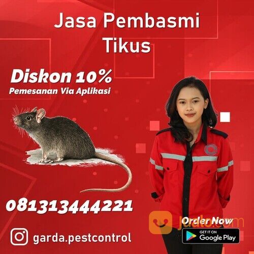 Jasa Basmi Tikus Malang Termurah | 0813-1344-4221- Garda Pest