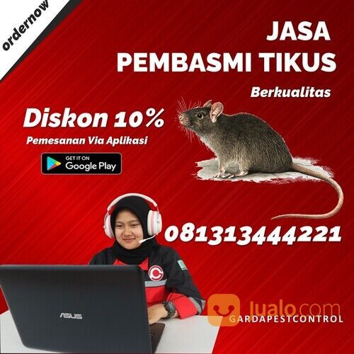 Jasa Basmi Tikus Malang Termurah | 0813-1344-4221- Garda Pest