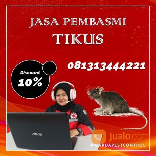 Jasa Basmi Tikus Malang Termurah | 0813-1344-4221- Garda Pest