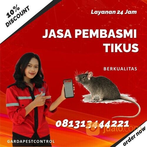 Jasa Basmi Tikus Malang Termurah | 0813-1344-4221- Garda Pest