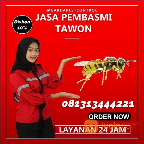 Jasa Pembasmi Tawon Malang Termurah | 0813-1344-4221- Garda Pest