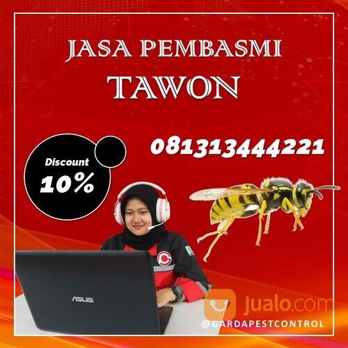 Jasa Pembasmi Tawon Malang Termurah | 0813-1344-4221- Garda Pest