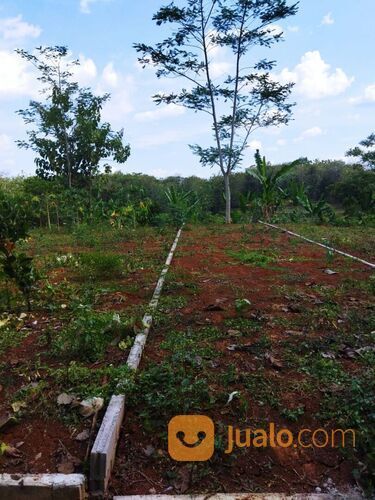 Kavling Taman Buah Jumantono Karanganyar Surakarta Jawa Tengah