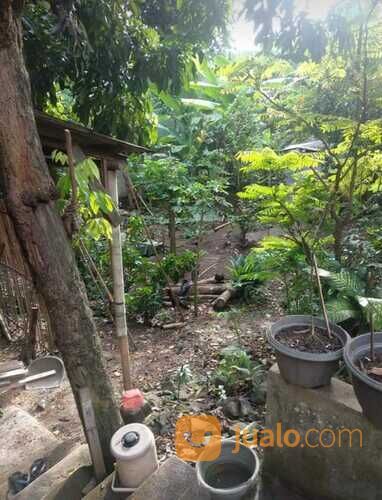 Rumah Luas 300 m Di Lopang Indah Dekat Pasar Lama