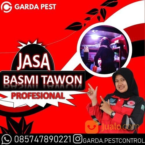 Jasa Pembasmi Tawon NDAS Bandung | 0857-4789-0221 - Garda