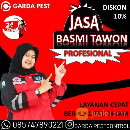 Jasa Pembasmi Tawon NDAS Bandung | 0857-4789-0221 - Garda