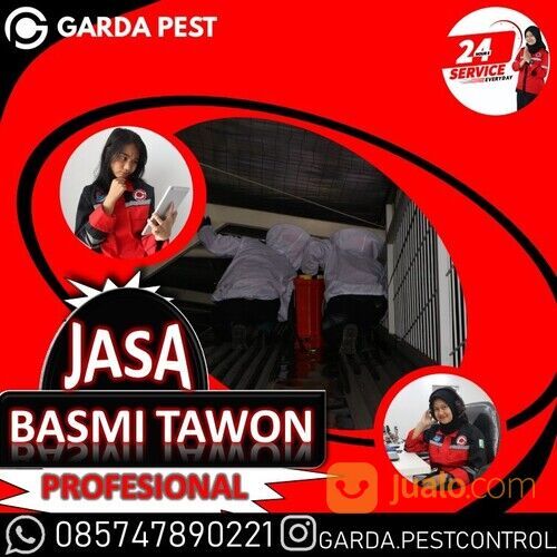 Jasa Pembasmi Tawon NDAS Bandung | 0857-4789-0221 - Garda