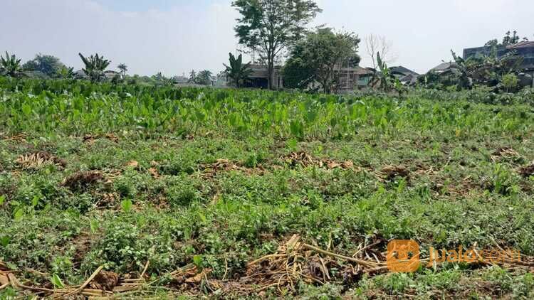 Tanah Bogor Kota, 10 Menit transmart yasmin , SHM, Row 5 Meter