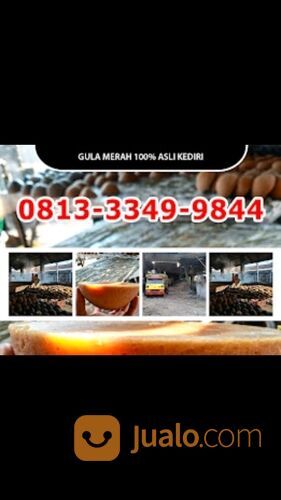 TELP 0813-3349-9844 Distributor Gula Merah Kristal