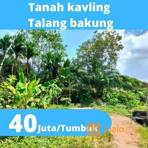 Tanah Kavling Murah Talang Bakung Di Samping Perumahan Korem