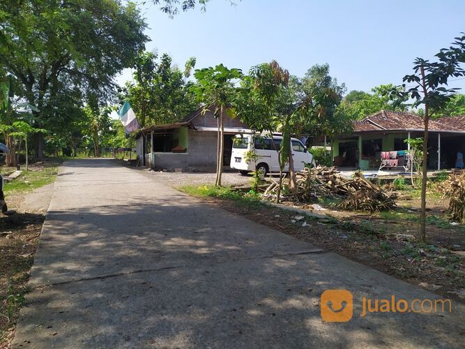 Tanah Murah Sentolo Jogja Wates