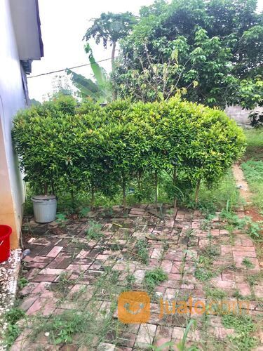 Take Over Rumah 3 KT @ Felicity Madani Parung Bogor DP129Jt Cocok utk usaha