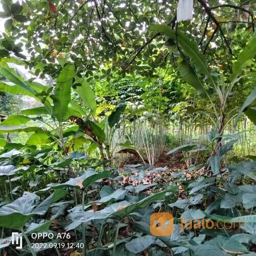 Tanah kavling siap bangun, lokasi strategis