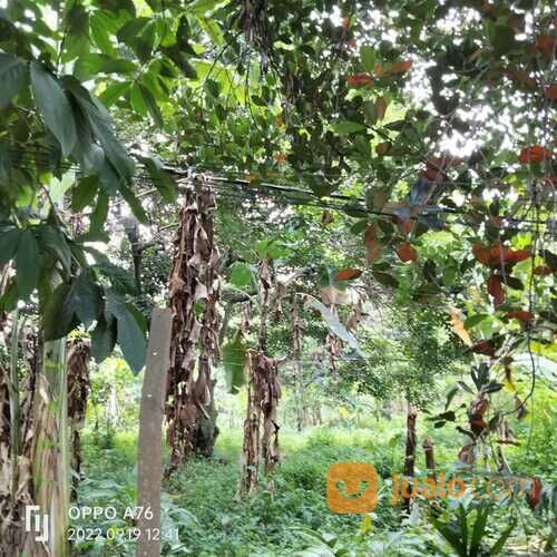 Tanah kavling siap bangun, lokasi strategis