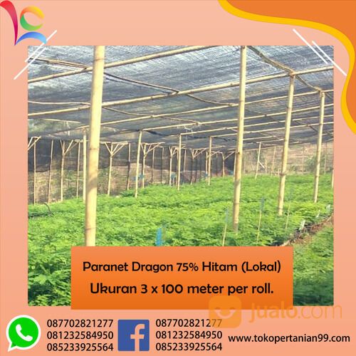 Paranet Dragon 75% Hitam Lokal Termurah, Bahan Sangat Berkualitas