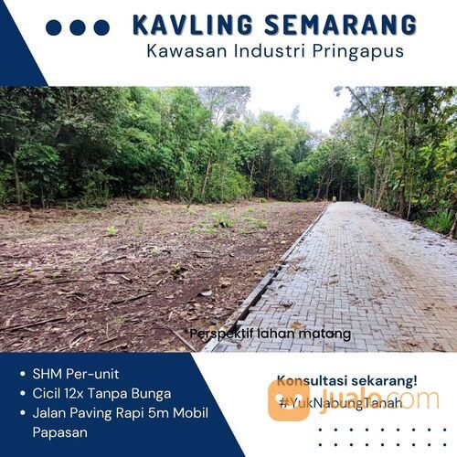 Lahan Matang Semarang , Kawasan Industri Pringapus