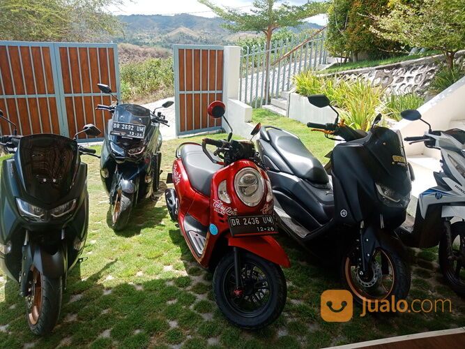 Rent scooter kuta lombok,sewa motor kuta lombok