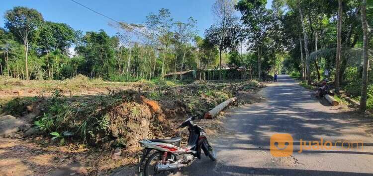 Tanah Murah Manisrenggo Klaten Dekat Bumi Perkemahan Kepurun