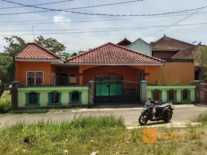 Rumah Luas Dekat Kampus IPB Dramaga Bogor