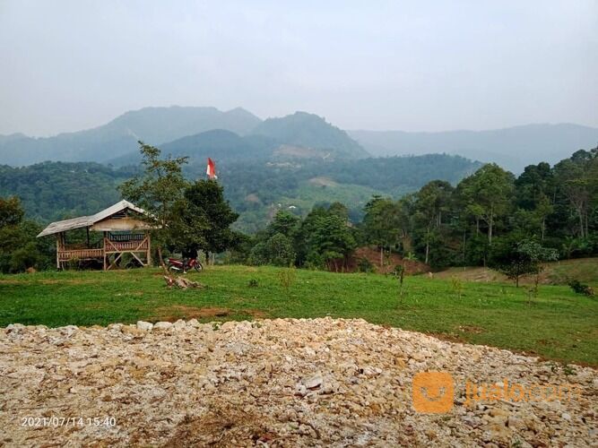 Lahan Kebun Produktif Luas 500 Meter sudah ada Kebun Durian yang Siap Panen Kapan Saja