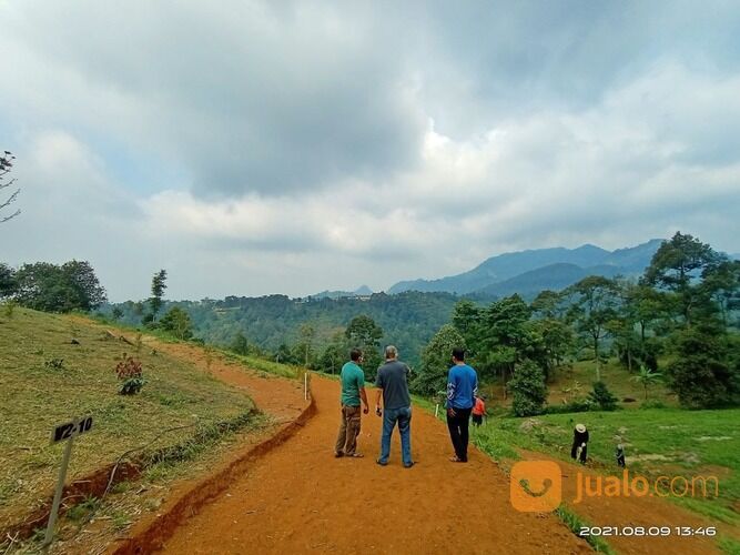 Lahan Kebun Produktif Luas 500 Meter sudah ada Kebun Durian yang Siap Panen Kapan Saja