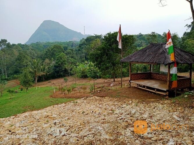 Lahan Kebun Produktif Luas 500 Meter sudah ada Kebun Durian yang Siap Panen Kapan Saja