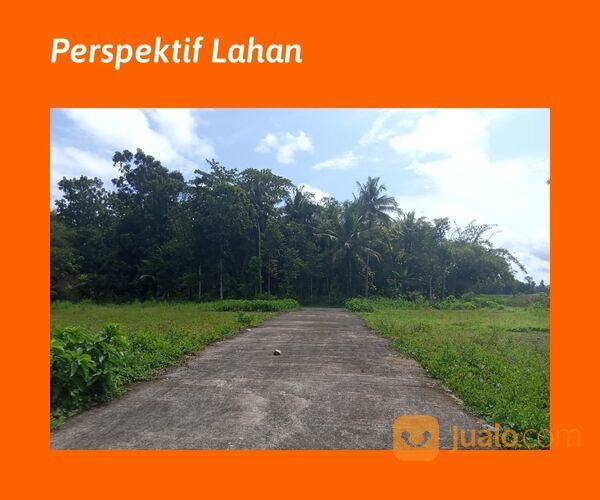 Area Bandara YIA, 100 Jt-an: View Sawah