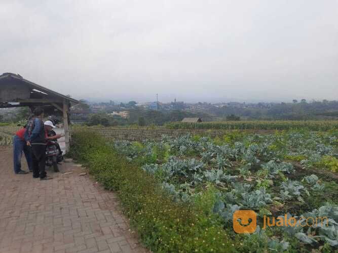 Tanah Luas Cocok untuk Cluster atau Pertanian di Kota Batu