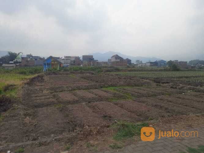 Tanah Luas Cocok untuk Cluster atau Pertanian di Kota Batu