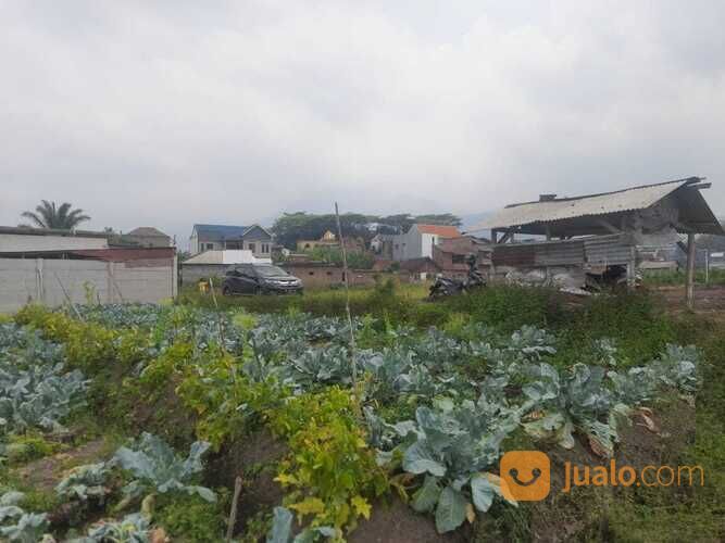 Tanah Luas Cocok untuk Cluster atau Pertanian di Kota Batu