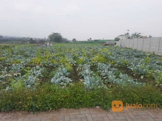 Tanah Luas Cocok untuk Cluster atau Pertanian di Kota Batu