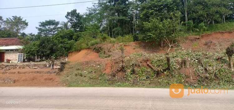 lahan/Tanah ksg 10 hektar.