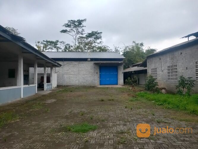 KANDANG SAPI PERAH AKTIF SIAP PAKAI LUAS 1.8HA BLITAR