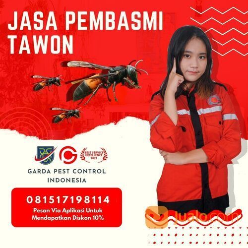 Jasa Pembasmi Tawon Tangerang | 0815 1719 8114 | GARDA