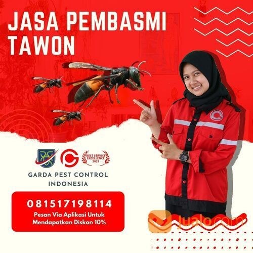Jasa Pembasmi Tawon Tangerang | 0815 1719 8114 | GARDA
