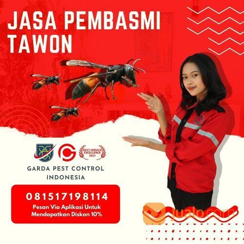 Jasa Pembasmi Tawon Tangerang | 0815 1719 8114 | GARDA