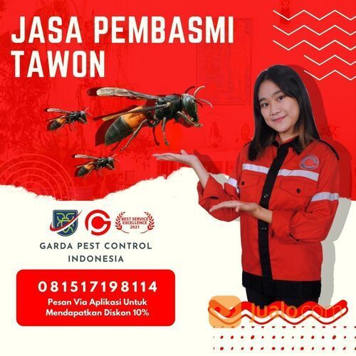 Jasa Pembasmi Tawon Tangerang | 0815 1719 8114 | GARDA
