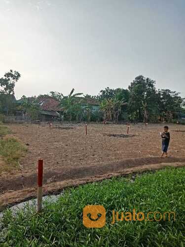 Tanah kavling murah lokasi babelan ujung harapan bekasi