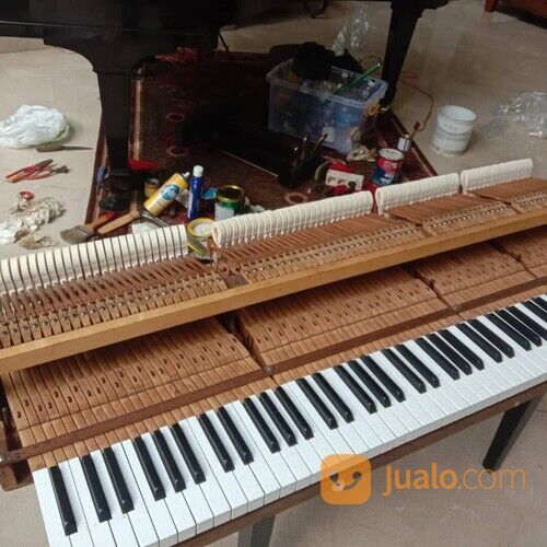Stem dan Service Piano segala Merk