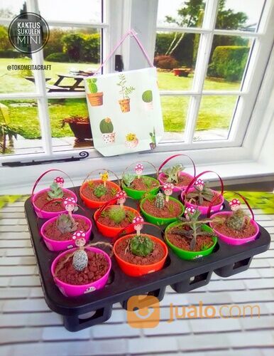 Kaktus Sukulen dan Pot