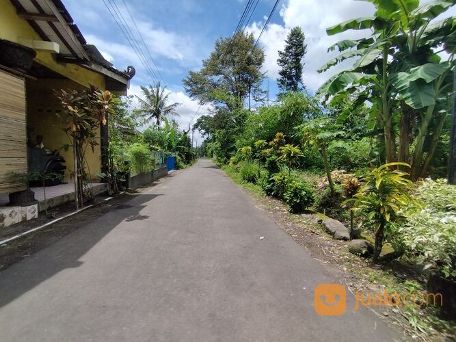 Tanah Murah Tajem Permai Dekat SD Model Sleman Yogyakarta SHM P, SHM