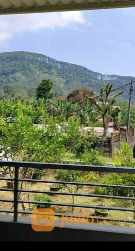 Tanah Perkebunan dan Villa Nongkojajar Purwodadi Pasuruan