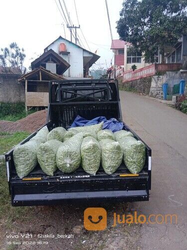 Sewa pickup / losbak jasa angkut barang