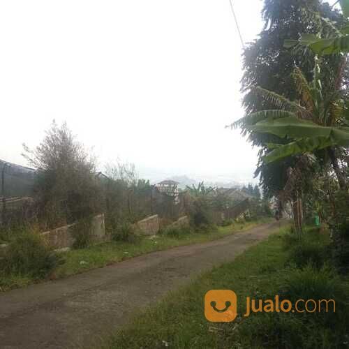 Lahan 300 Jutaan Dekat Gor Pandawa Lima Promo Launching!