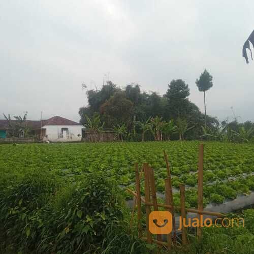 Lahan 300 Jutaan Dekat Gor Pandawa Lima Promo Launching!