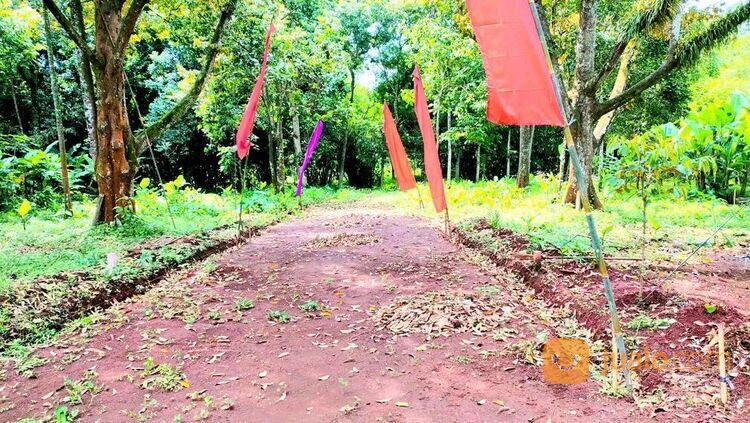 Tanah Kavling Murah Deket SKY Mansion Horizon di Beringin